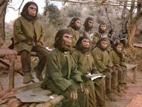 Кадр Битва за планету обезьян