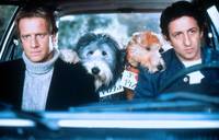 Кадр Эркюль и Шерлок против мафии