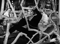 Кадр Сладкая жизнь