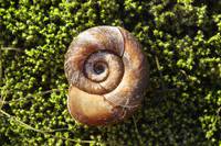 Кадр 15 stron swiata