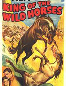 The King of the Wild Horses