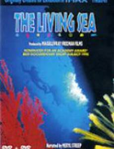 Живой океан