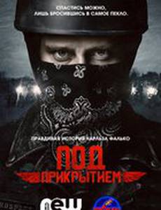 Под прикрытием
