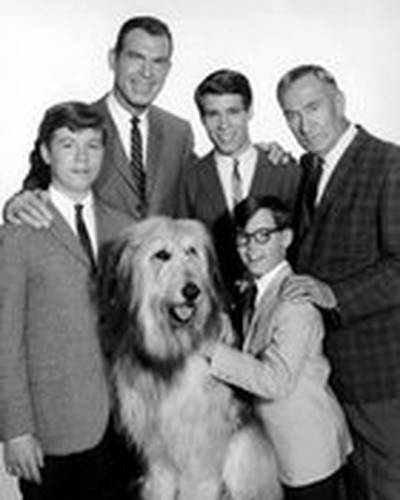 Уильям Демарест фото