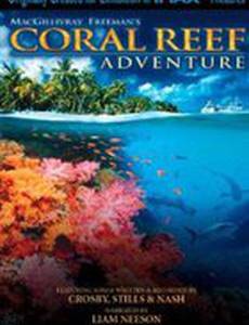 Coral Reef Adventure