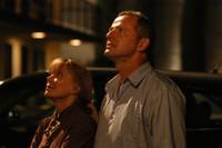 Кадр Девять жизней