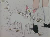 Кадр Красавица-воин Сейлор Мун Эс