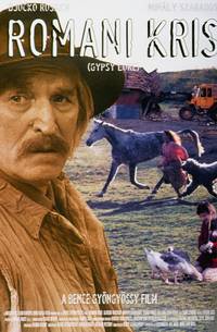 Постер Цыганский закон