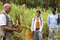 Кадр Остаться в живых