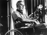 Кадр Лягушки