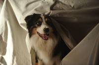 Кадр Пятеро друзей 2