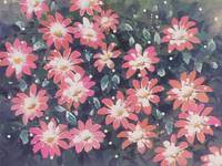 Кадр Приключения Боско