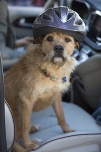 Кадр Очень плохие мамочки