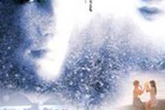 Заснеженные кедры