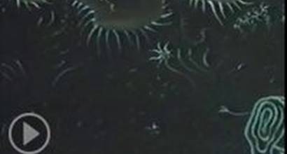 Мультфильм