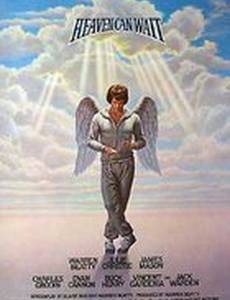 Небеса могут подождать