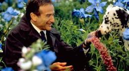 Кадр из фильма "Куда приводят мечты" - 1