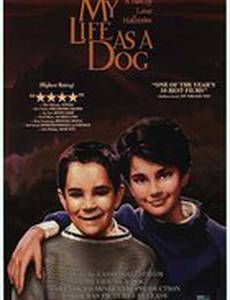 Моя собачья жизнь