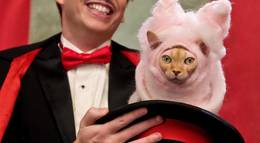 Кадр из фильма "Кошки против собак: Месть Китти Галор" - 1