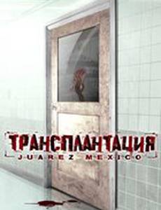 Трансплантация (видео)