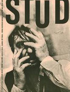 Stud