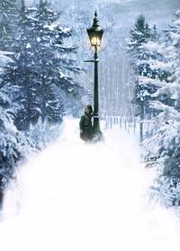 Постер Хроники Нарнии: Лев, колдунья и волшебный шкаф