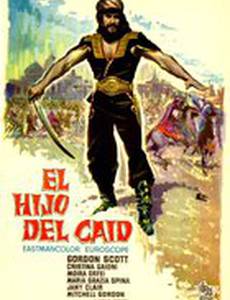 Il figlio dello sceicco