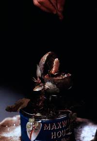 Кадр Лавка ужасов