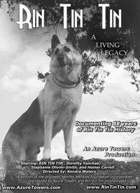 Постер Приключения пса