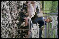 Кадр И в бедности, и в богатстве