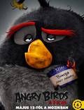 Постер из фильма "Angry Birds в кино" - 1