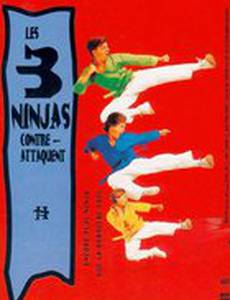 Три ниндзя наносят ответный удар