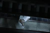 Кадр Отель Мумбаи: Противостояние