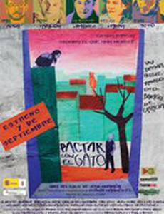 Договор с кошкой