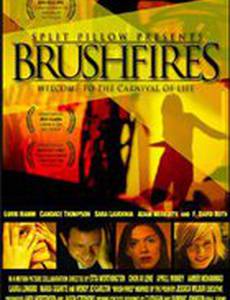 Brushfires