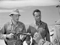 Кадр Сахара