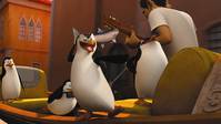 Кадр Пингвины Мадагаскара