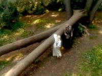 Кадр Барышня-крестьянка