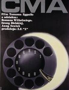 Ночная бабочка