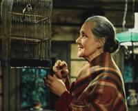 Кадр Храбрый заяц