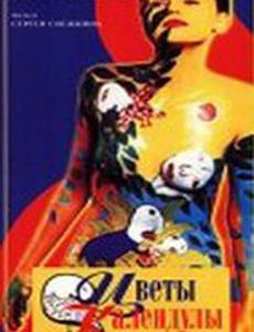 Цветы календулы