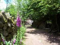 Кадр Tales from the Green Valley