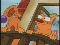 Кадр Котопес