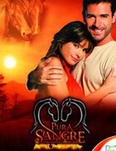 Чистая кровь