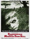 Постер из фильма "Франкенштейн и монстр из ада" - 1