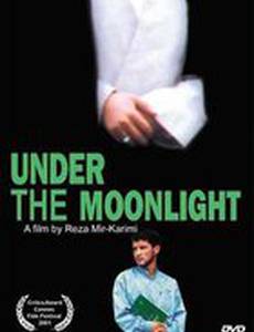 Под лунным светом