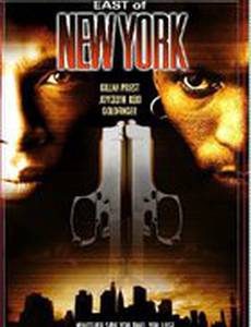 Восточный Нью-Йорк (видео)