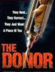 Донор