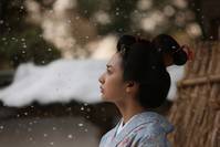 Кадр После сезона цветов