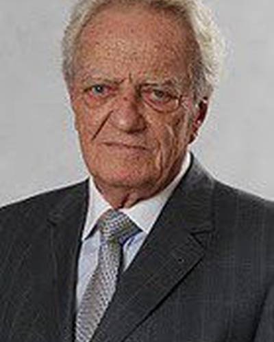 Энрике Мартинс фото